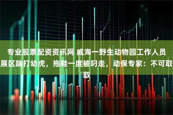 专业股票配资资讯网 威海一野生动物园工作人员展区踹打幼虎，拖鞋一度被叼走，动保专家：不可取